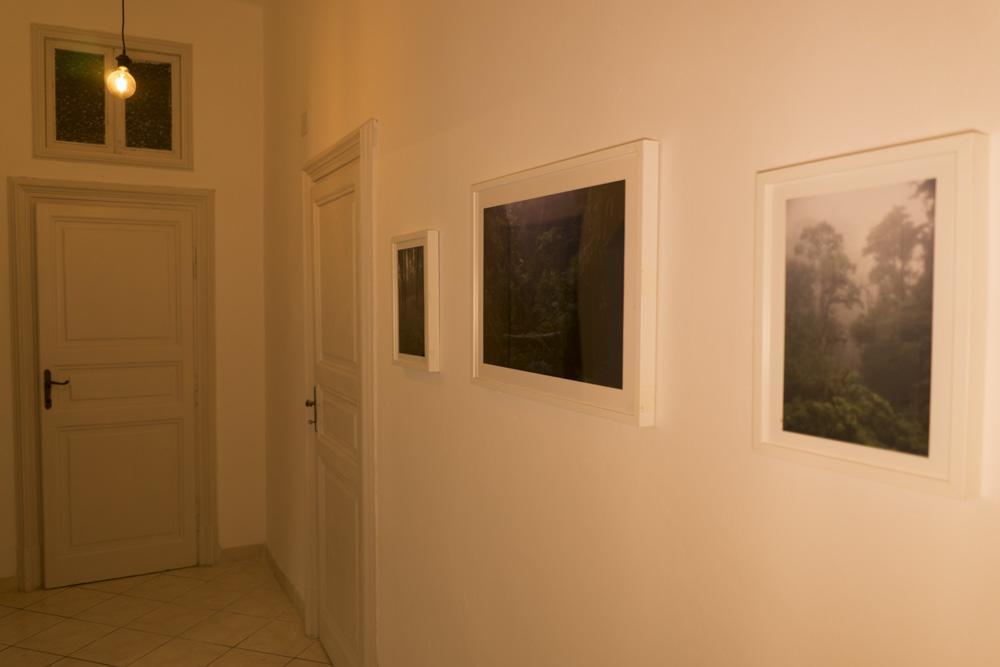 Trastevere Corner Eight Rom Exterior foto
